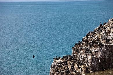 《Gluck》登陆Steam 2D矿井冒险经营新游